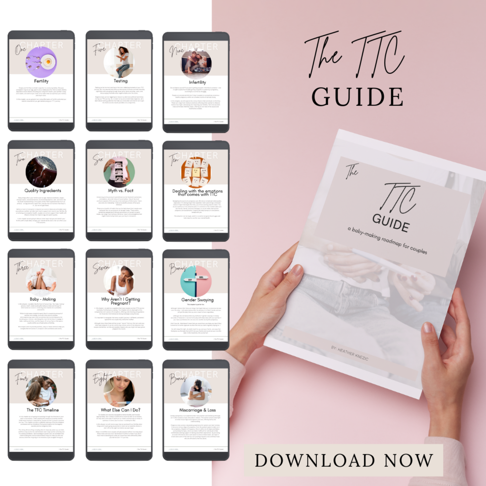 The Pregnancy Power Pack