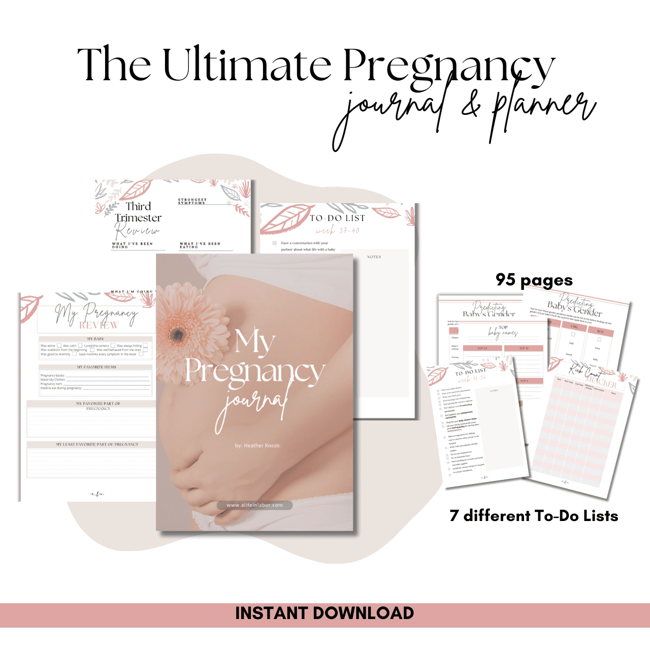 The Pregnancy Journal & Planner
