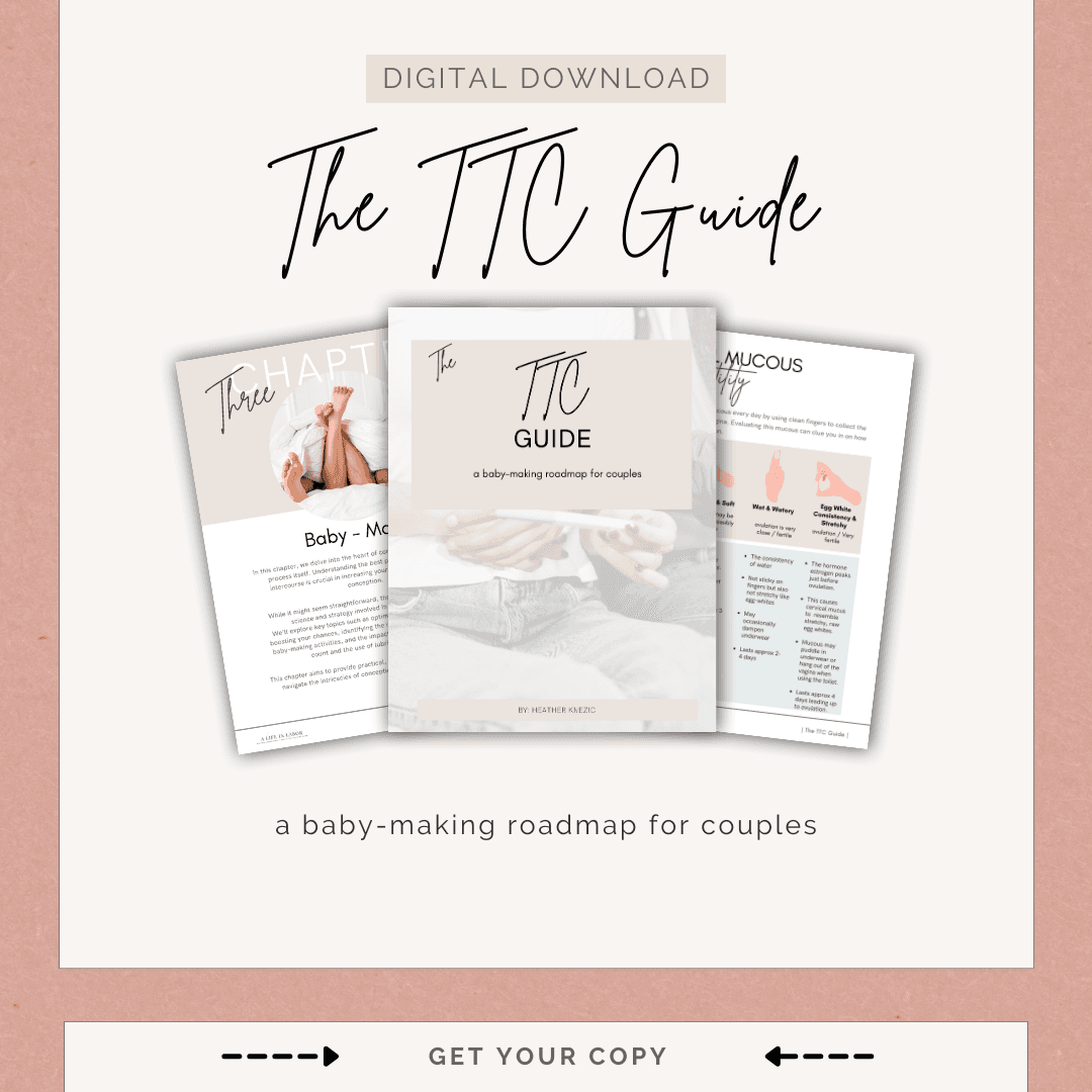 The TTC Guide