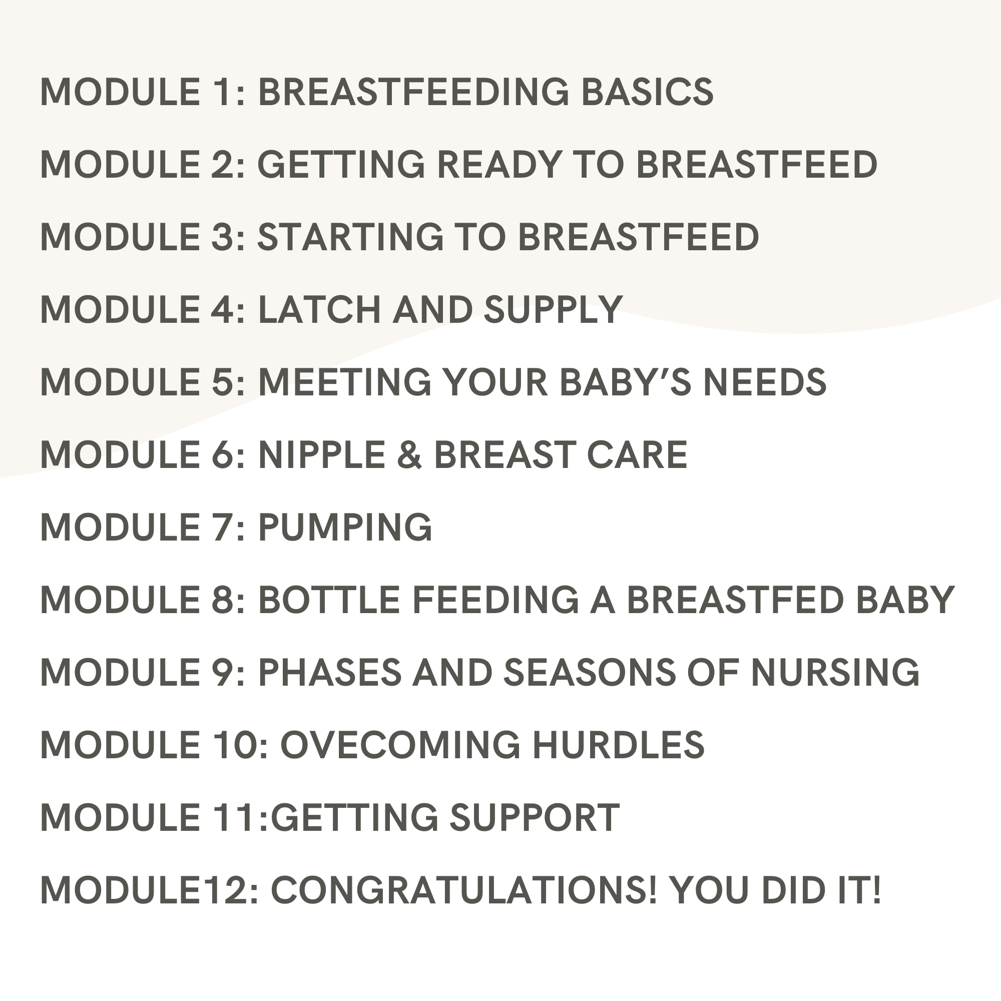 a list of modules within the Milkies Like You Mean It Breastfeeding & Pumping Course