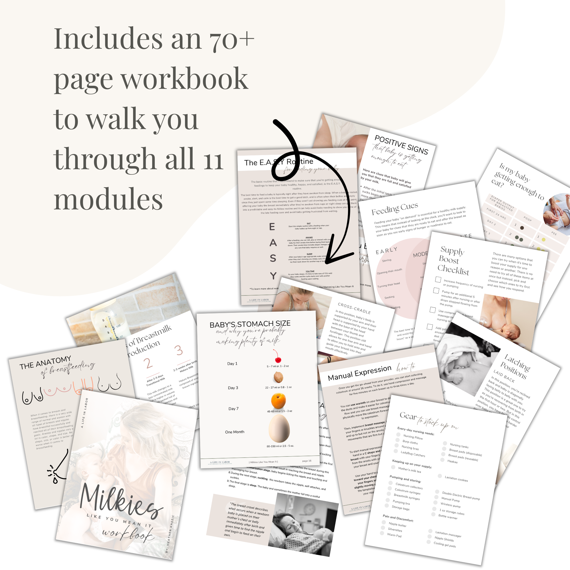 a mockup of the Milkies Like You Mean It workbook