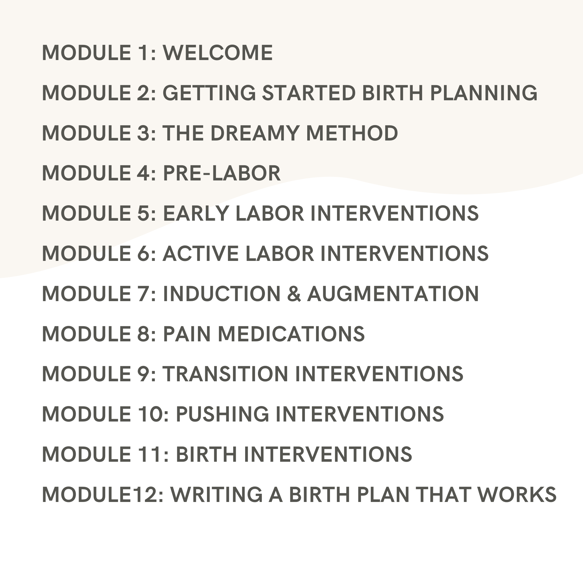 The Birth Plan Accelerator