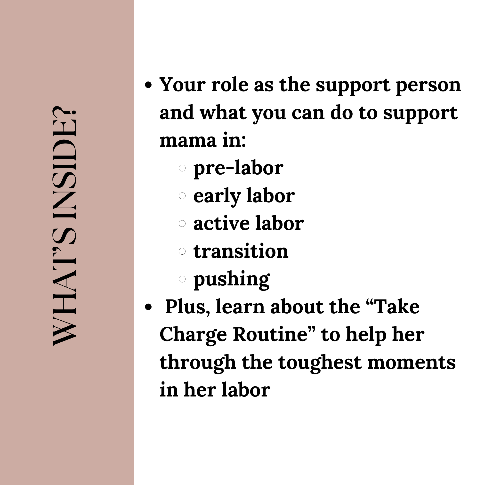 The Birth Partner Bootcamp Mini Course