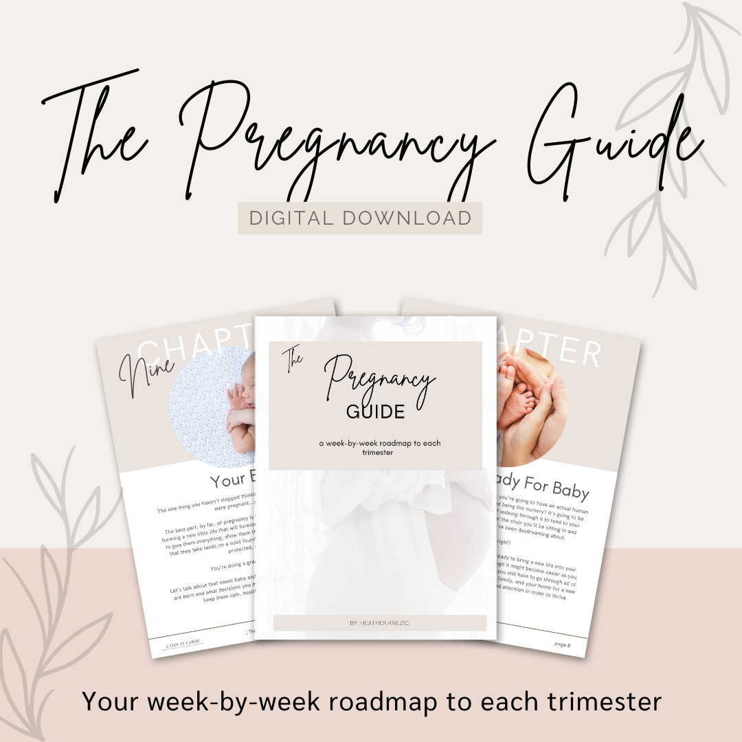 The Pregnancy Guide