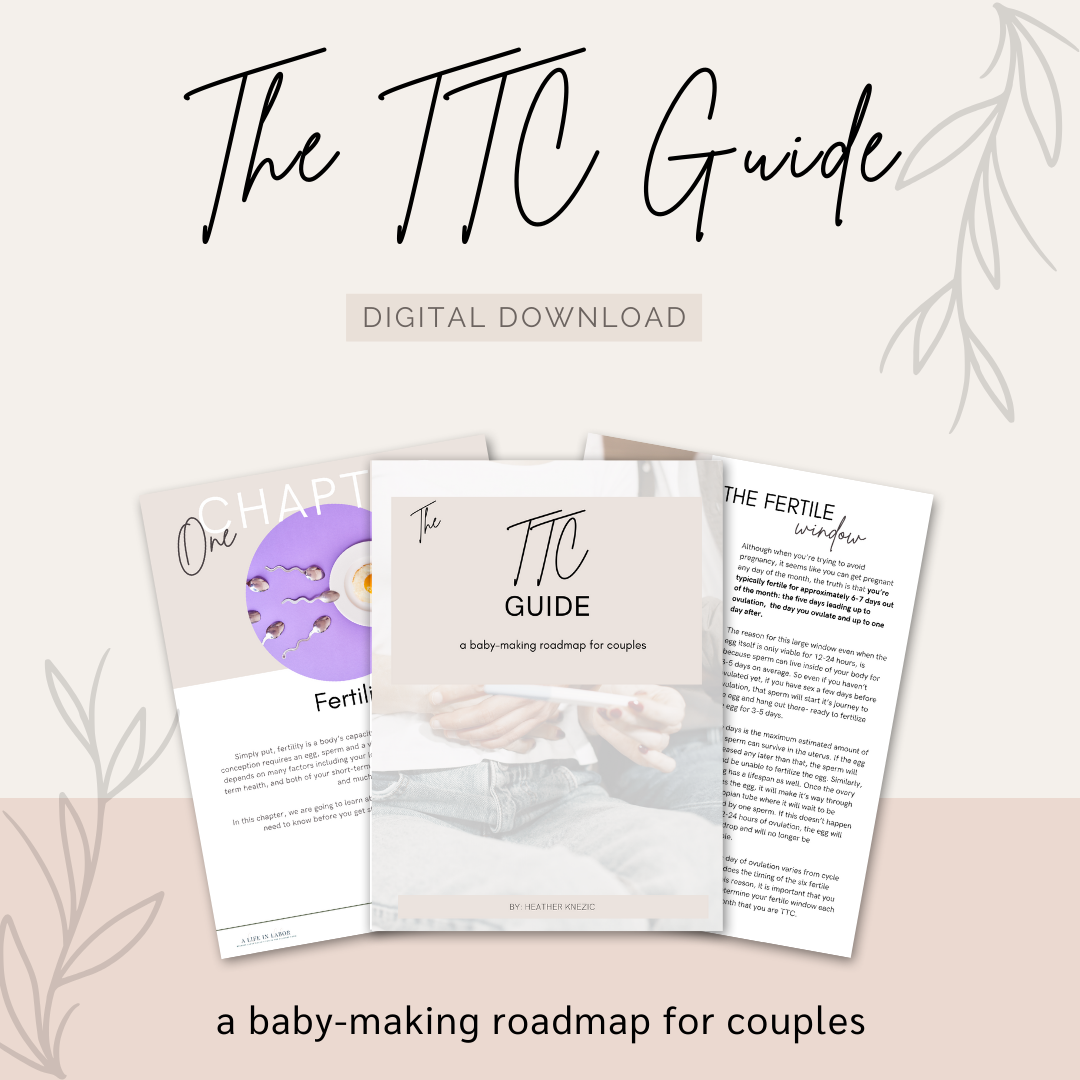 The TTC Guide