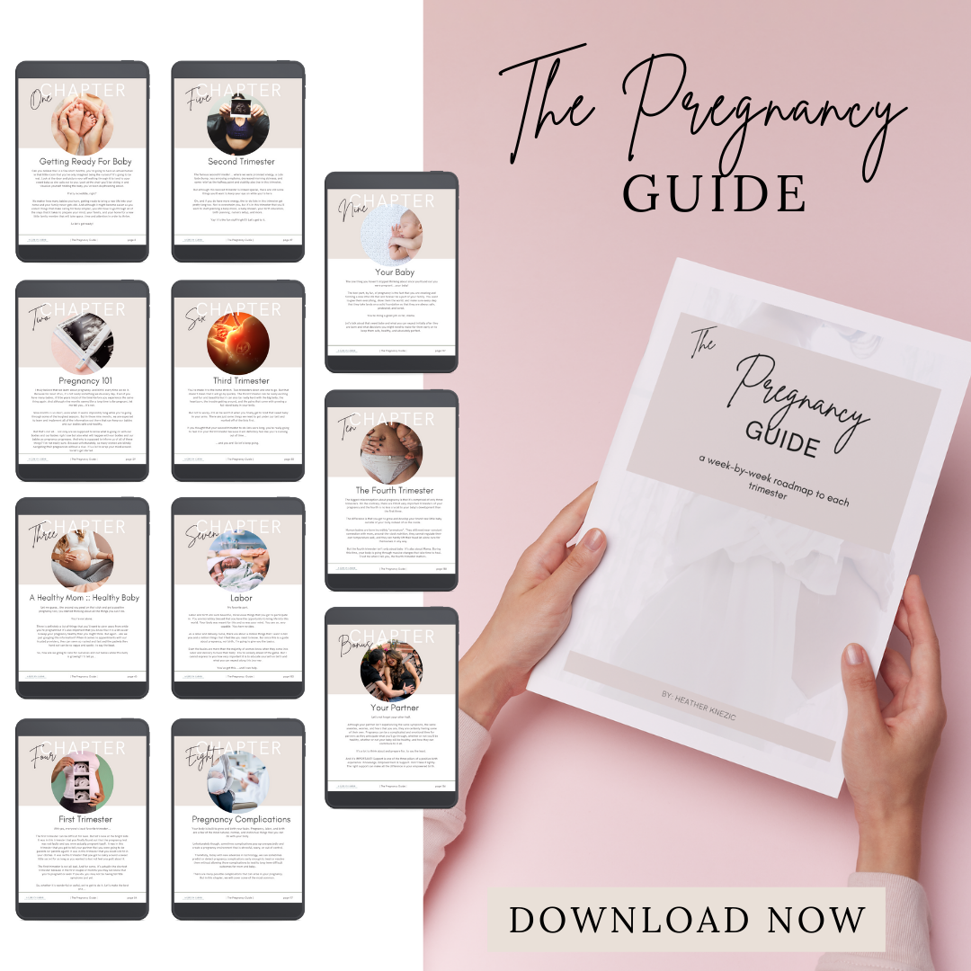 The Pregnancy Guide