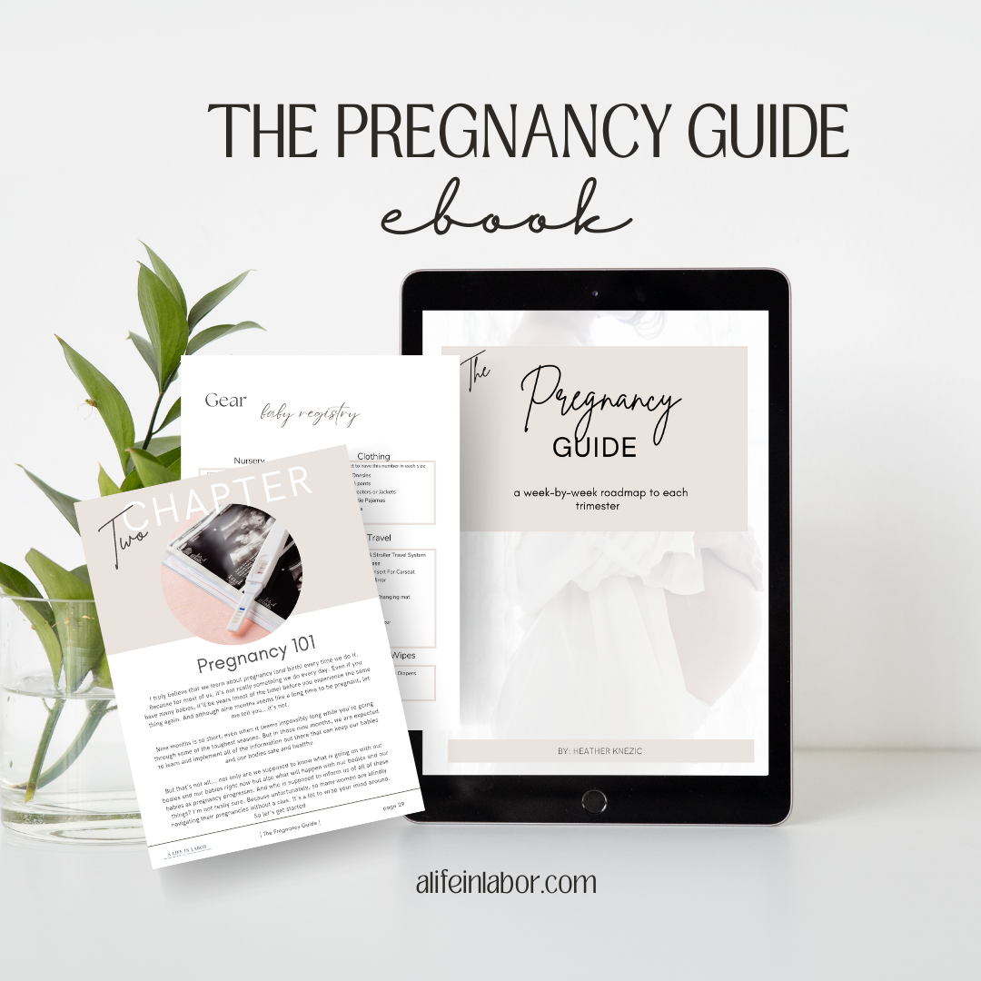 The Pregnancy Guide