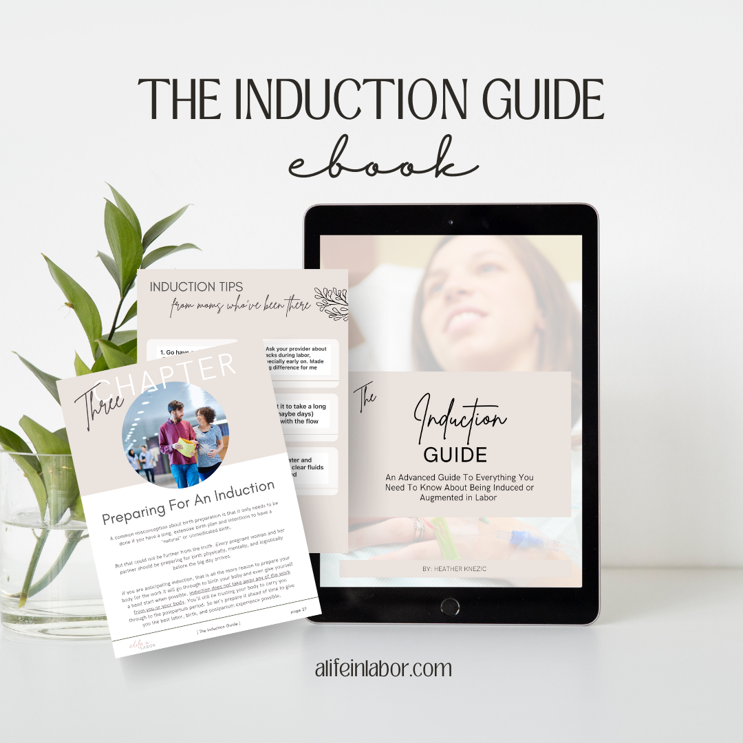 The Induction Guide