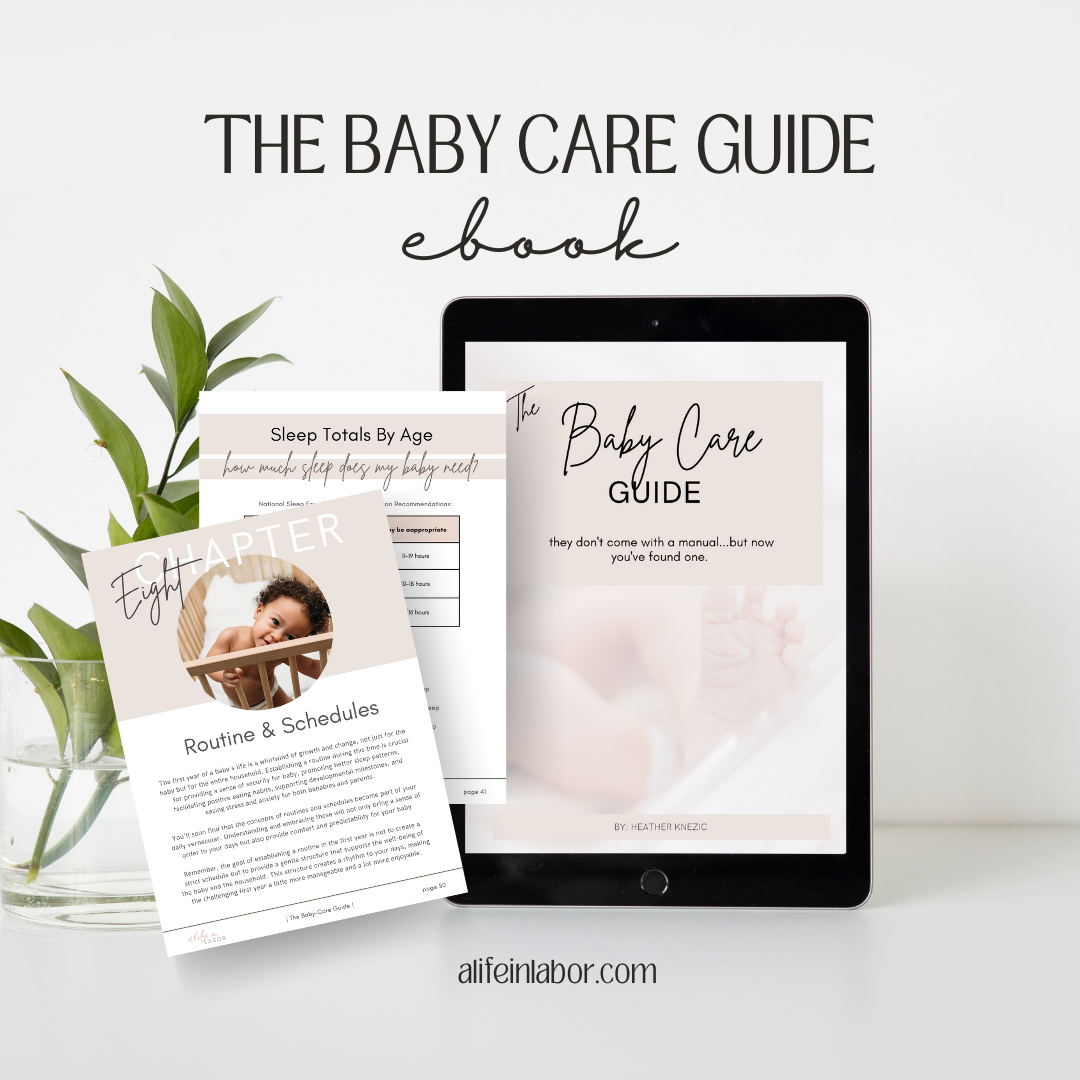 The Baby-Care Guide