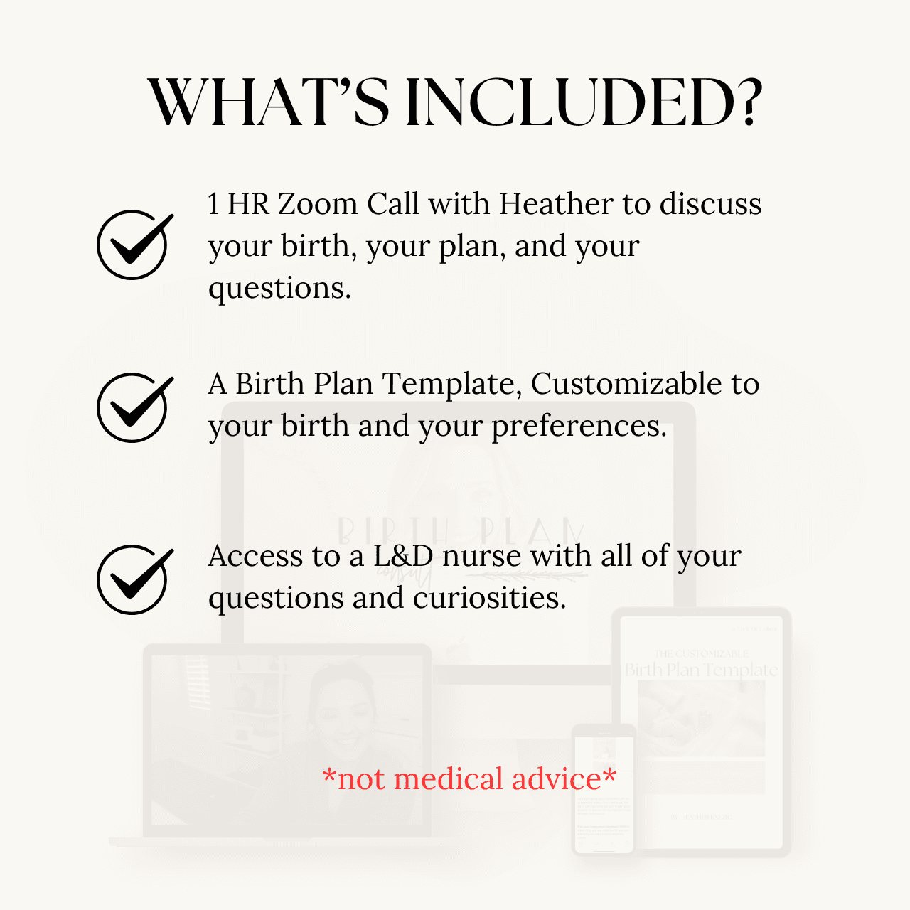 a list of three bullet points what's inside. the 1:1 Birth Plan Consult Call